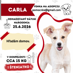 CARLA