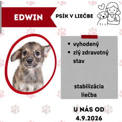 EDWIN