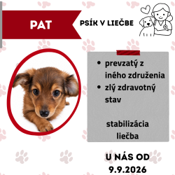 PAT