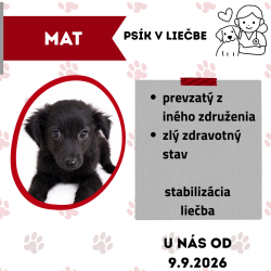 MAT
