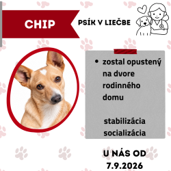 CHIP