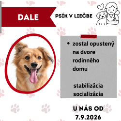 DALE