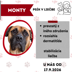 MONTY