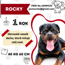 ROCKY