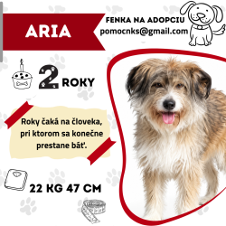 ARIA