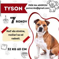 TYSON