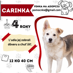CARINKA