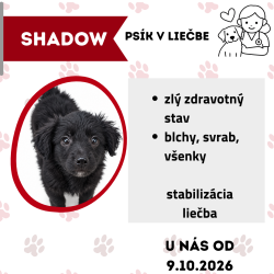 SHADOW