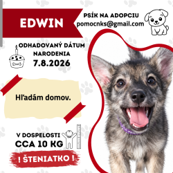 EDWIN