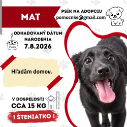 MAT