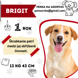 BRIGIT