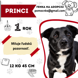 PRINCI