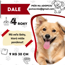 DALE