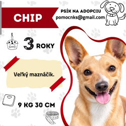 CHIP