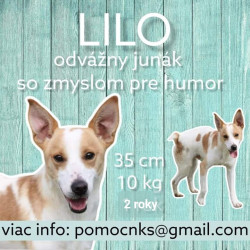 LILO (B306)