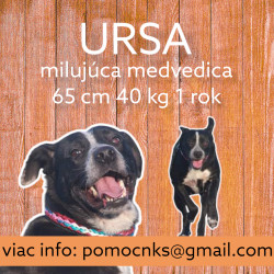 URSA (C299)