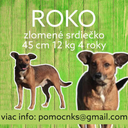 ROKO (C263)