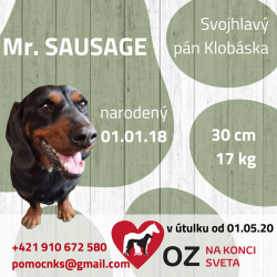 Mr. SAUSAGE