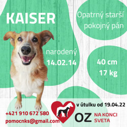 KAISER (C131)