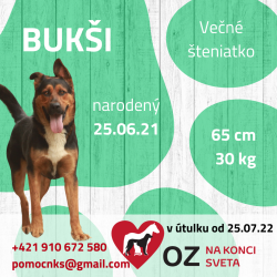 BUKŠI (C268)