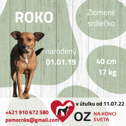 ROKO (C263)