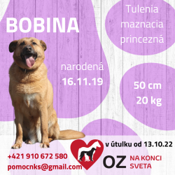 BOBINA (C330)