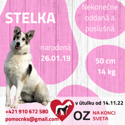 STELKA