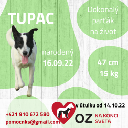 TUPAC - ŤUPO