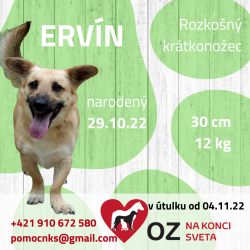 ERVIN