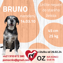 BRUNO