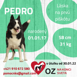 PEDRO (C010)