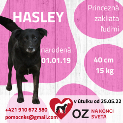 HASLEY