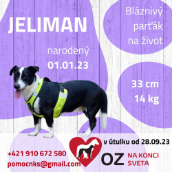 JELIMAN