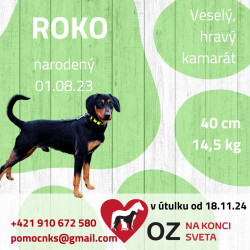 ROKO