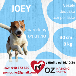 JOEY