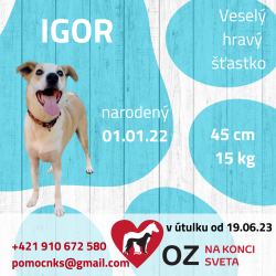 IGOR