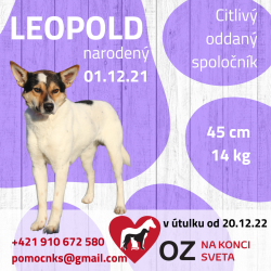 LEOPOLD