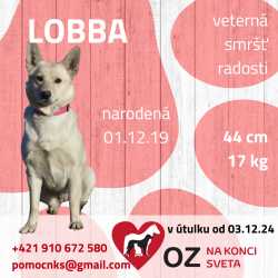 LOBBA