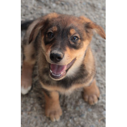 BENKA