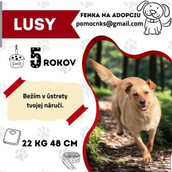 LUSY