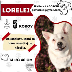 LORELEI