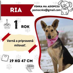 RIA
