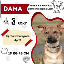 DAMA