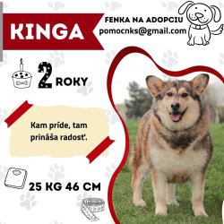KINGA