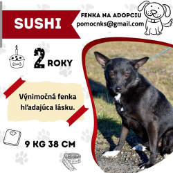 SUSHI
