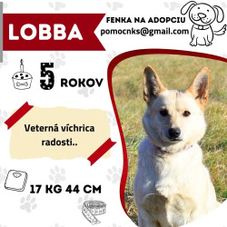 LOBBA