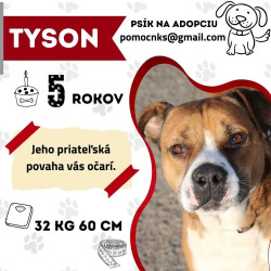 TYSON