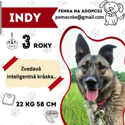 INDY