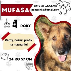 MUFASA