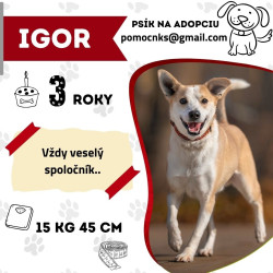 IGOR